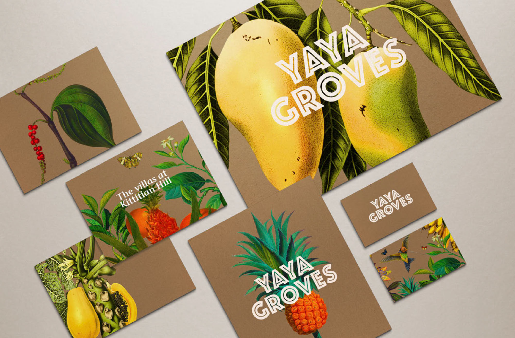 Yaya Groves ￨ Corporate Design, Logo, Illustration